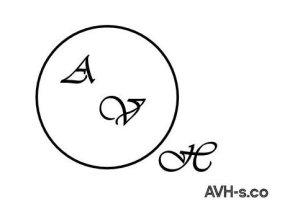 AVH-s.co